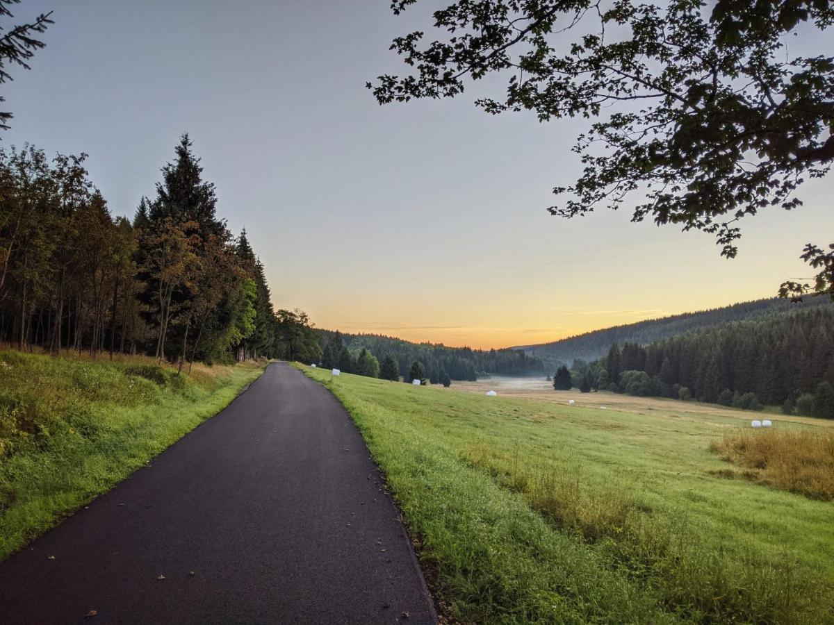 Apartmany Forest Kovářská Eksteriør billede