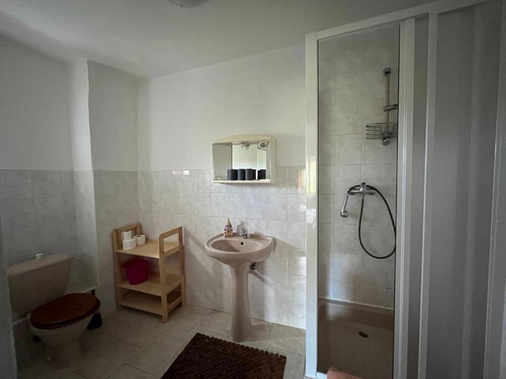 Apartmany Forest Kovářská Eksteriør billede
